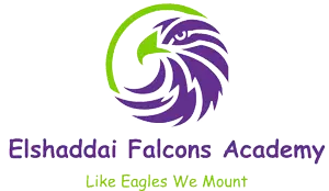 Elshaddai Falcons Academy